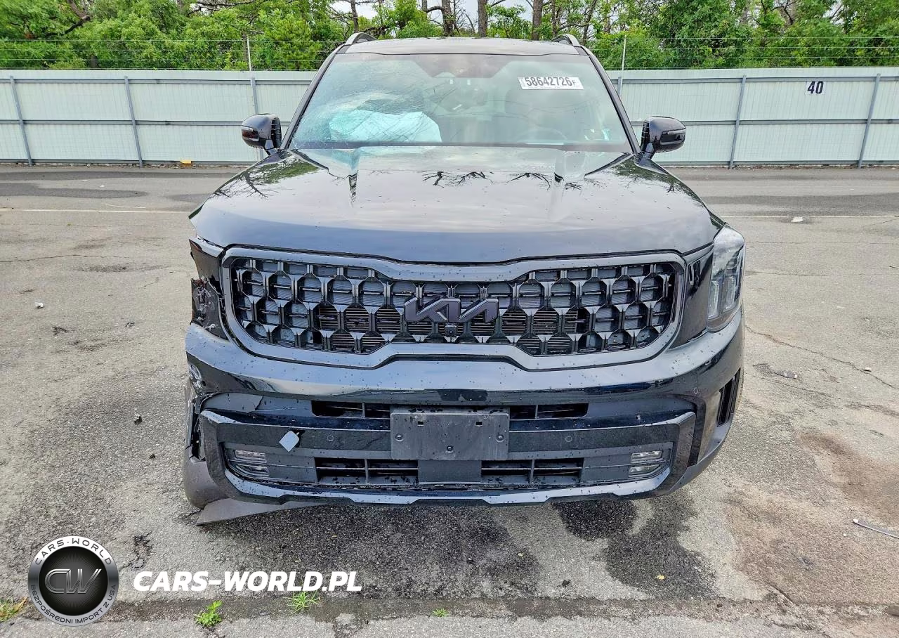 2025 Kia Telluride Sx-Prestige X-Line VIN:5XYP5DGC7SG698434 - 5
