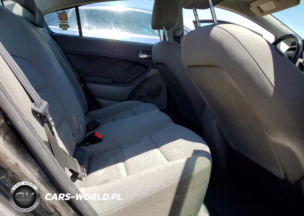 2016 Kia Forte Lx VIN:KNAFK4A61G5486438 - 10