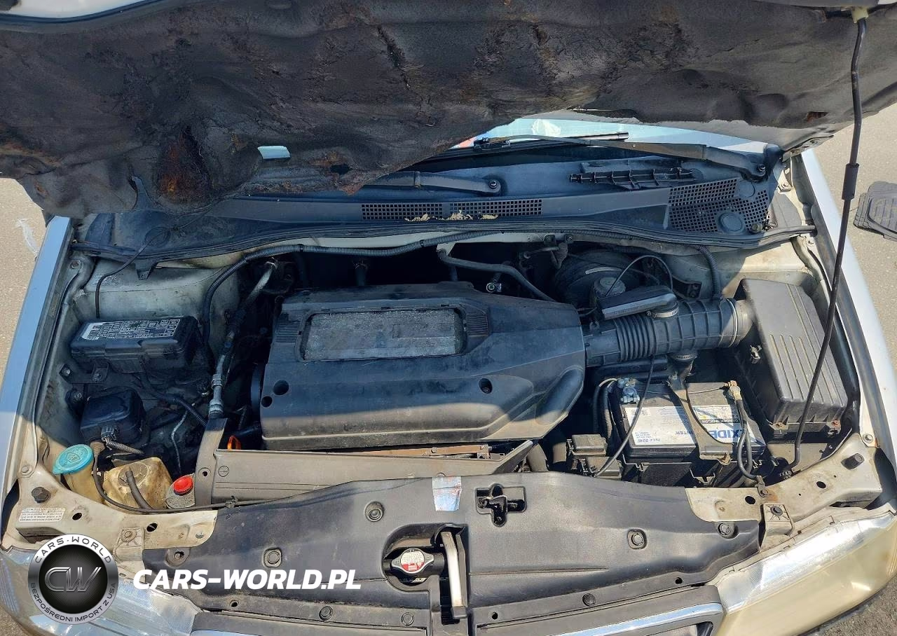 2002 Honda Odyssey Exl VIN:5FNRL18012B048412 - 12