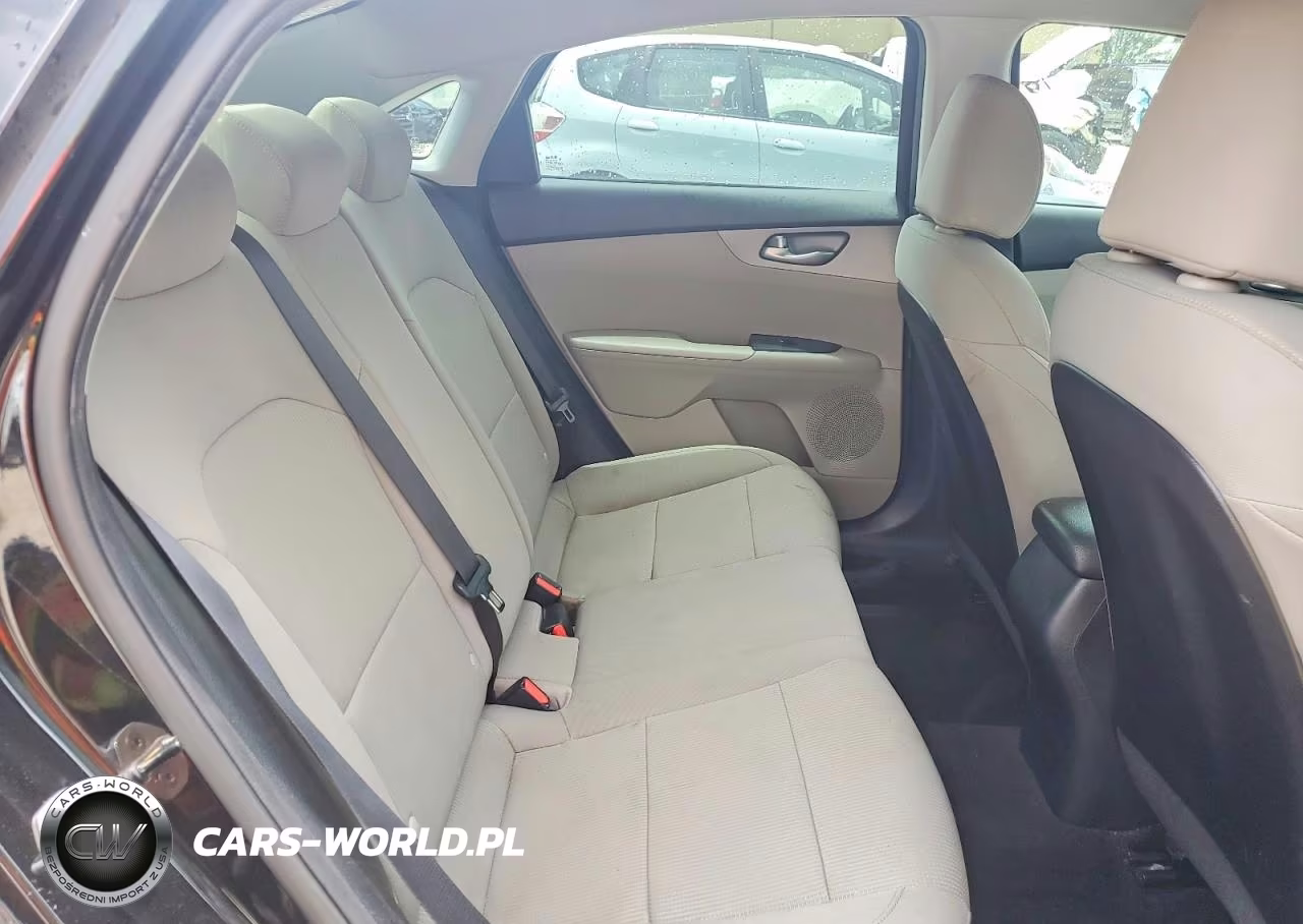 2019 Kia Forte Lxs VIN:3KPF24ADXKE047382 - 10