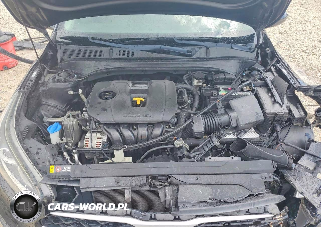 2019 Kia Forte Lxs VIN:3KPF24ADXKE047382 - 11