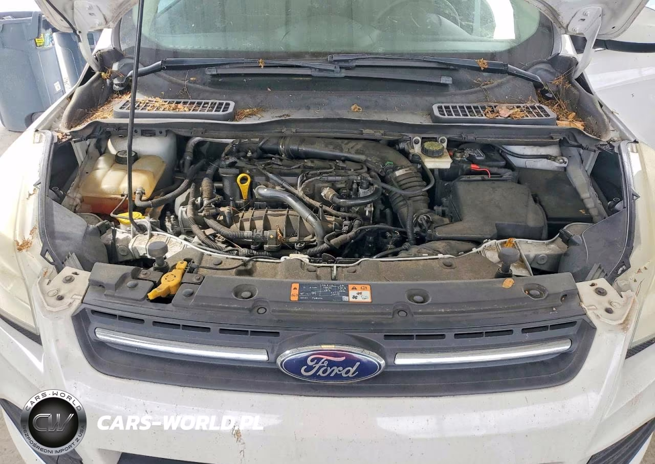 2014 Ford Escape Se VIN:1FMCU9GXXEUE01205 - 11