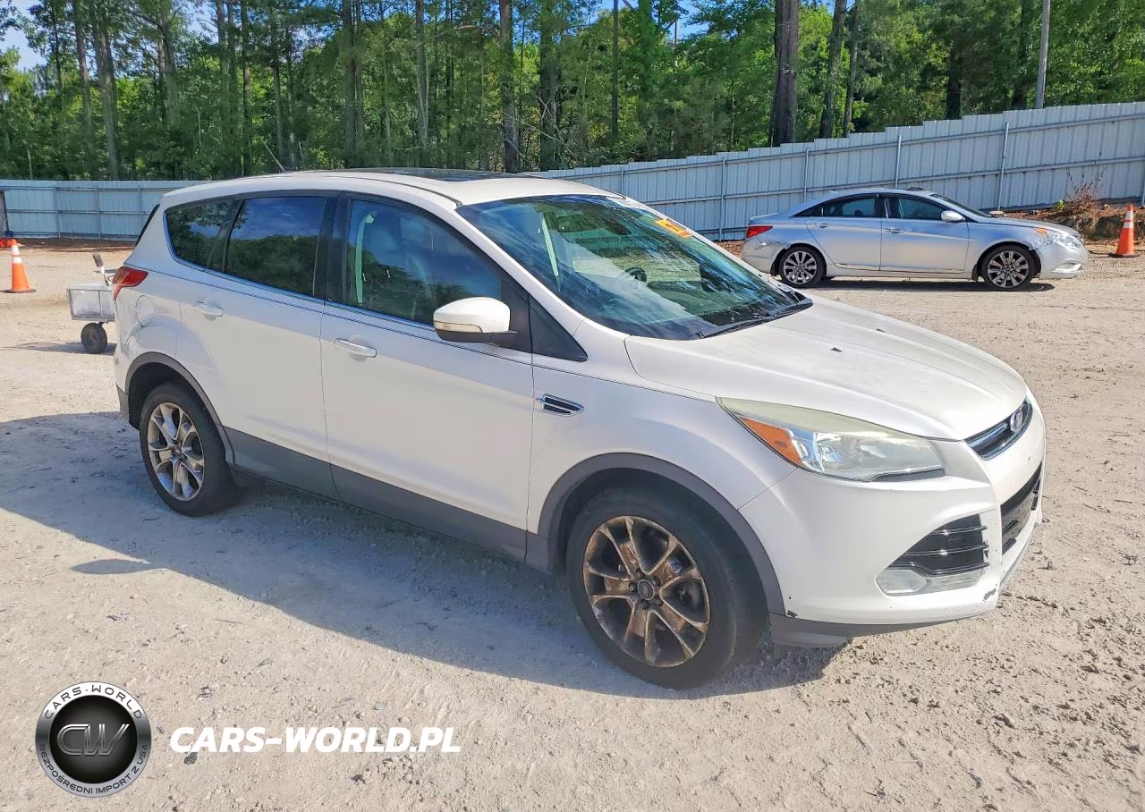 2013 Ford Escape Sel VIN:1FMCU9HX2DUB35174 - 4