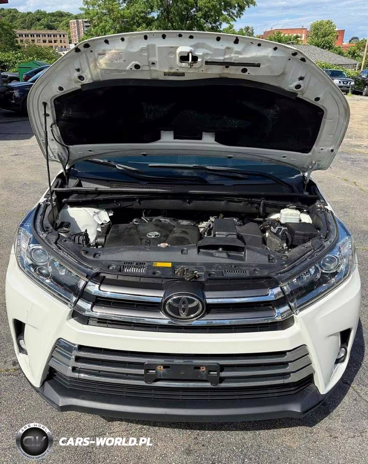2019 Toyota Highlander Limited VIN:5TDDZRFH5KS996078 - 9