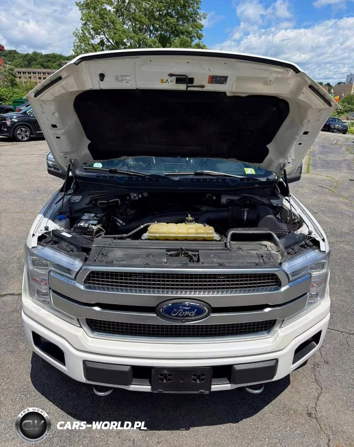 2019 Ford F150 Supercrew VIN:1FTEW1E47KFC38742 - 5