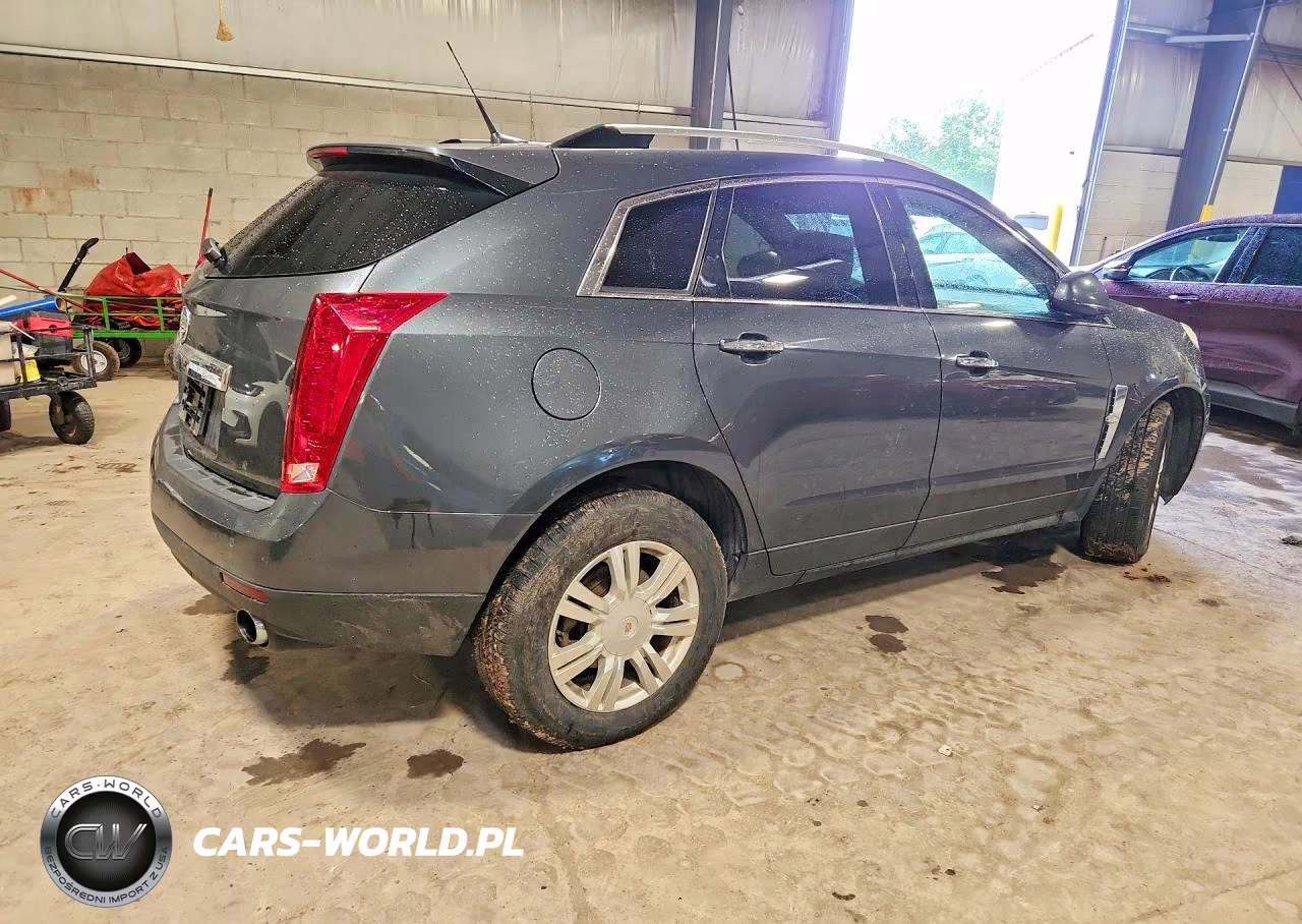 2010 Cadillac Srx Luxury Collection VIN:3GYFNDEY3AS638247 - 3