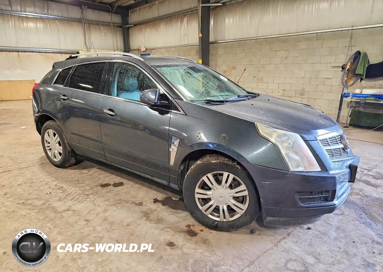 2010 Cadillac Srx Luxury Collection VIN:3GYFNDEY3AS638247 - 4