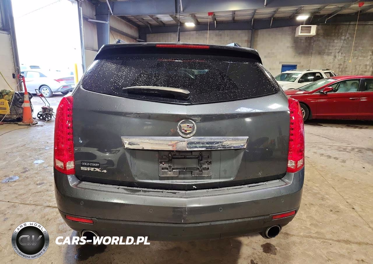 2010 Cadillac Srx Luxury Collection VIN:3GYFNDEY3AS638247 - 6