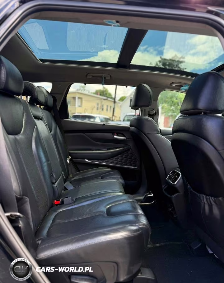 2020 Hyundai Santa Fe Limited 2.0T VIN:5NMS5CAA0LH250328 - 10