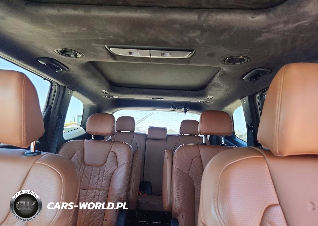 2024 Kia Telluride Sx-Prestige X-Line VIN:5XYP5DGC1RG542383 - 10