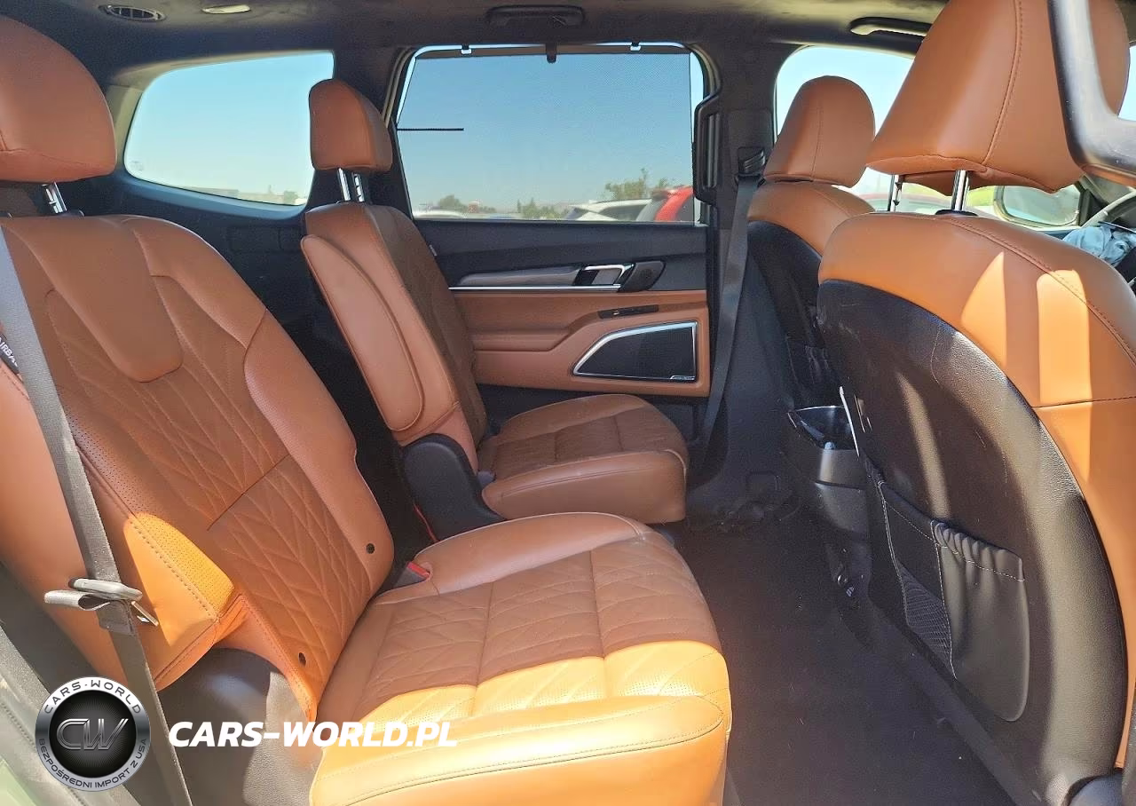 2024 Kia Telluride Sx-Prestige X-Line VIN:5XYP5DGC1RG542383 - 11