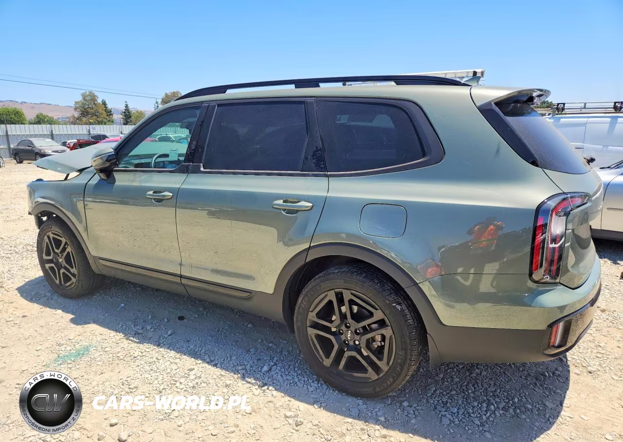 2024 Kia Telluride Sx-Prestige X-Line VIN:5XYP5DGC1RG542383 - 2