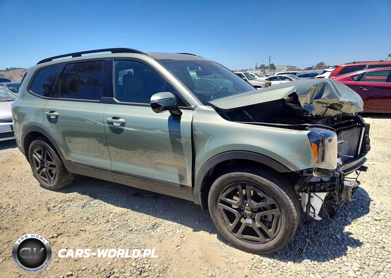 2024 Kia Telluride Sx-Prestige X-Line VIN:5XYP5DGC1RG542383 - 4