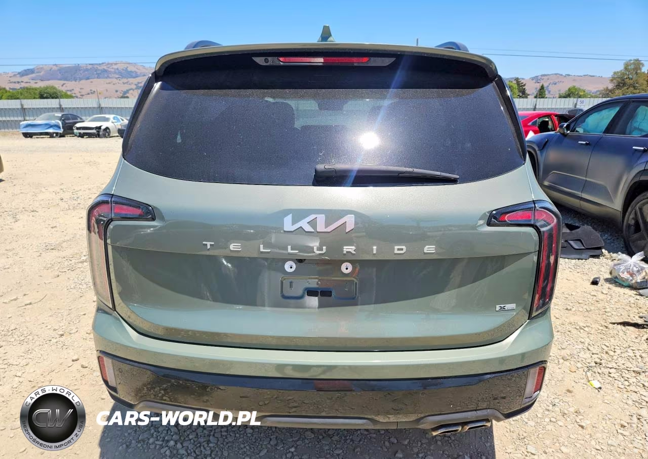 2024 Kia Telluride Sx-Prestige X-Line VIN:5XYP5DGC1RG542383 - 6