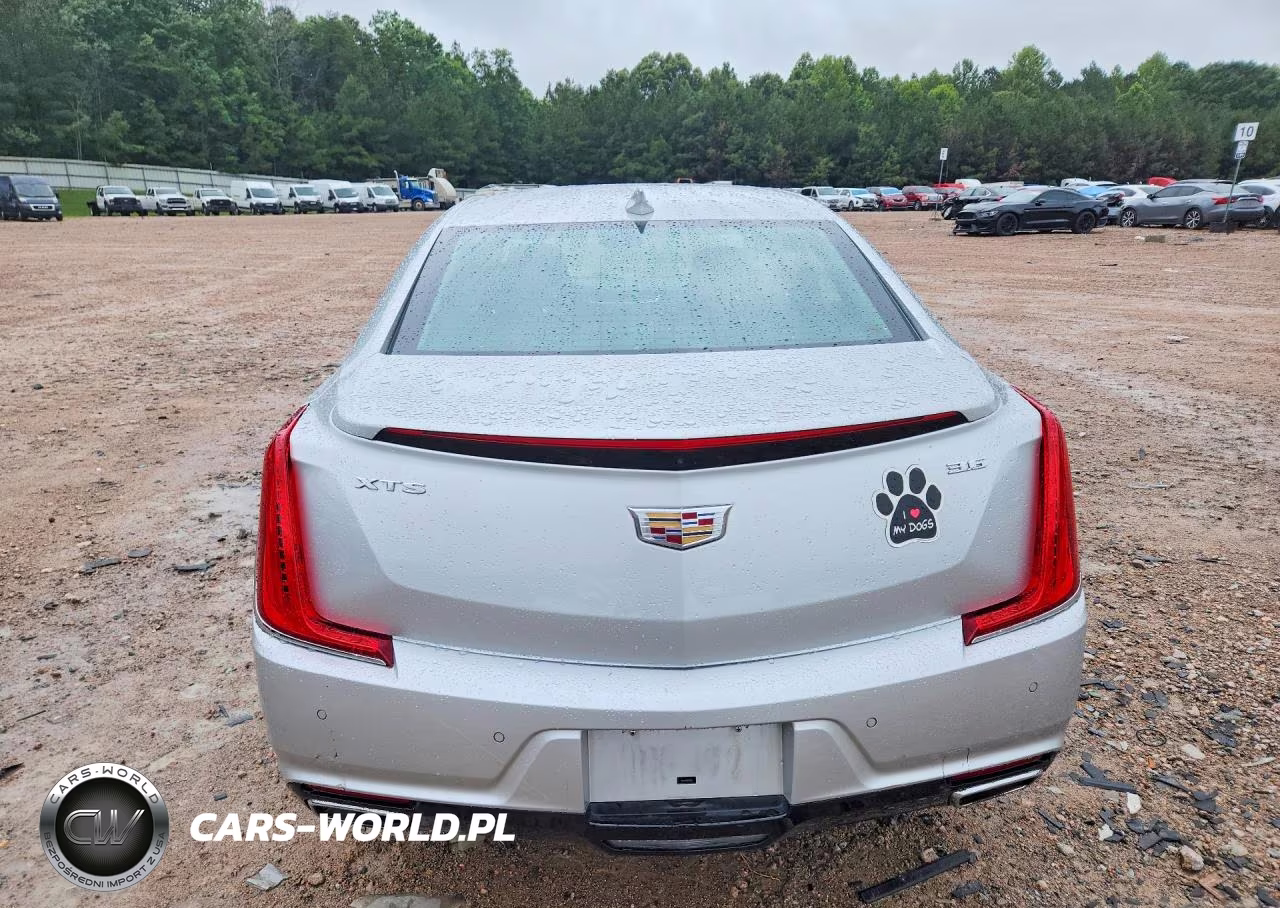 2018 Cadillac Xts Luxury VIN:2G61M5S32J9126688 - 6