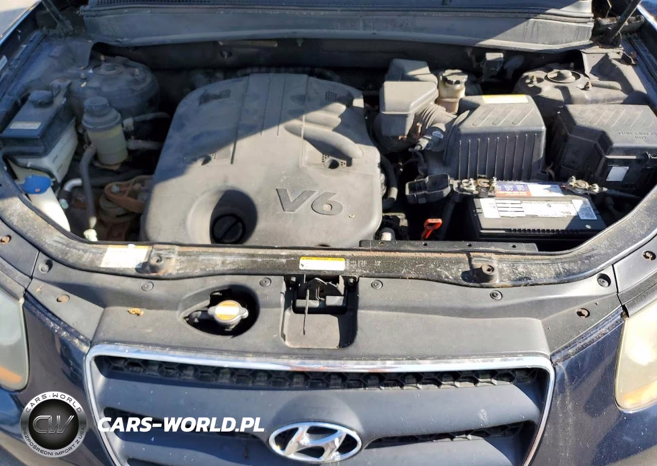 2008 Hyundai Santa Fe Se VIN:5NMSH13E88H217242 - 12