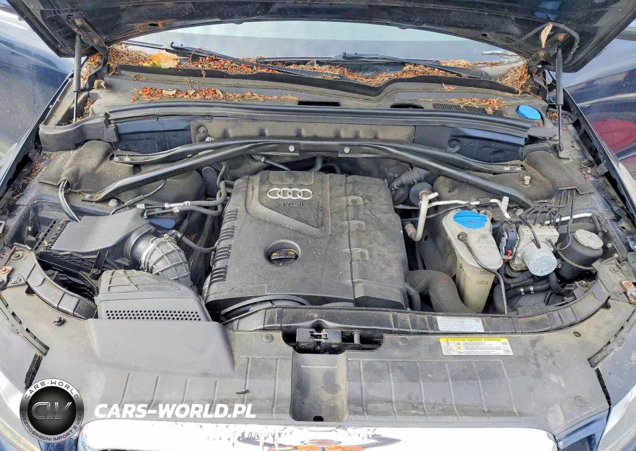 2011 Audi Q5 Premium VIN:WA1CFAFPXBA011259 - 12