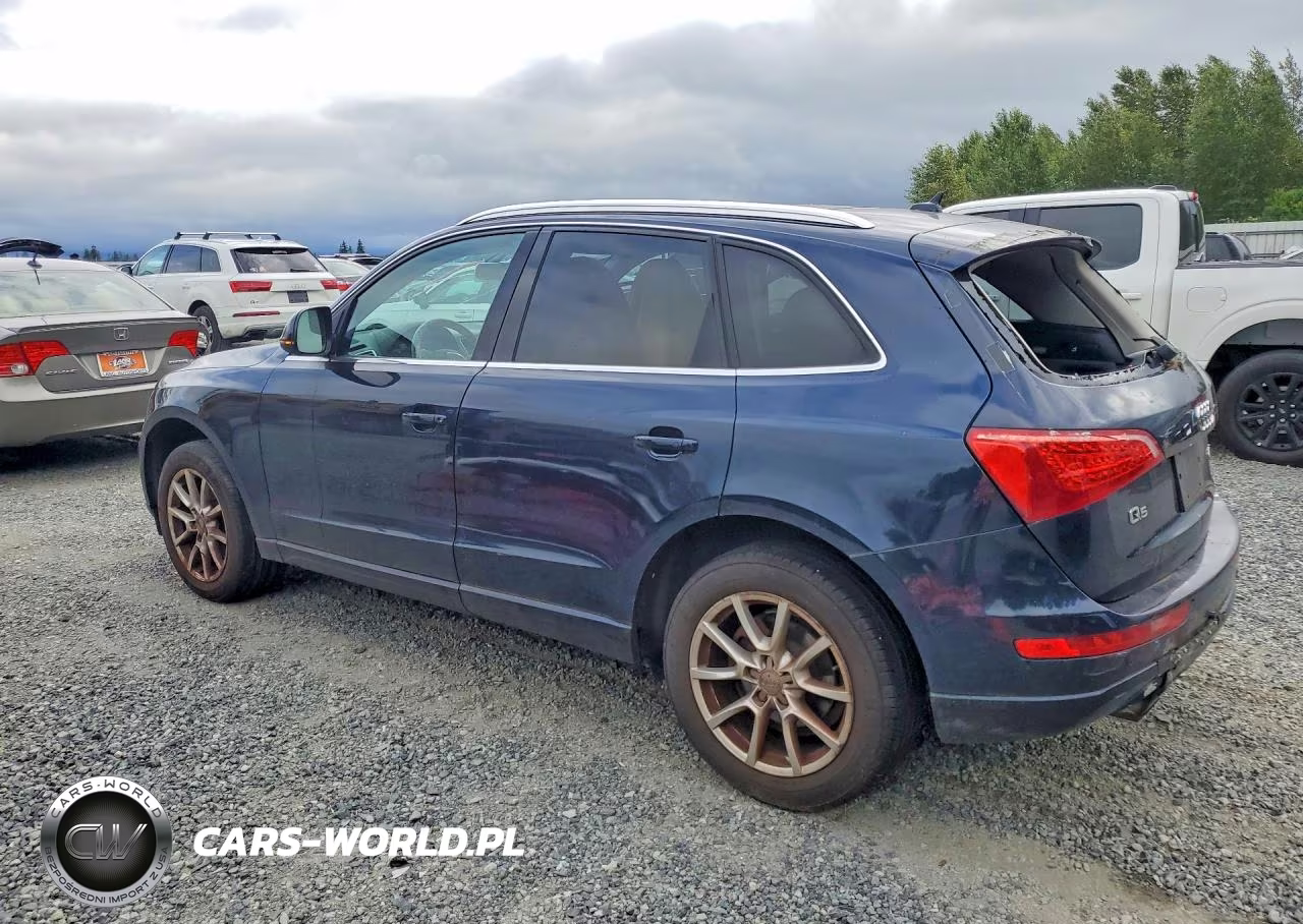 2011 Audi Q5 Premium VIN:WA1CFAFPXBA011259 - 2