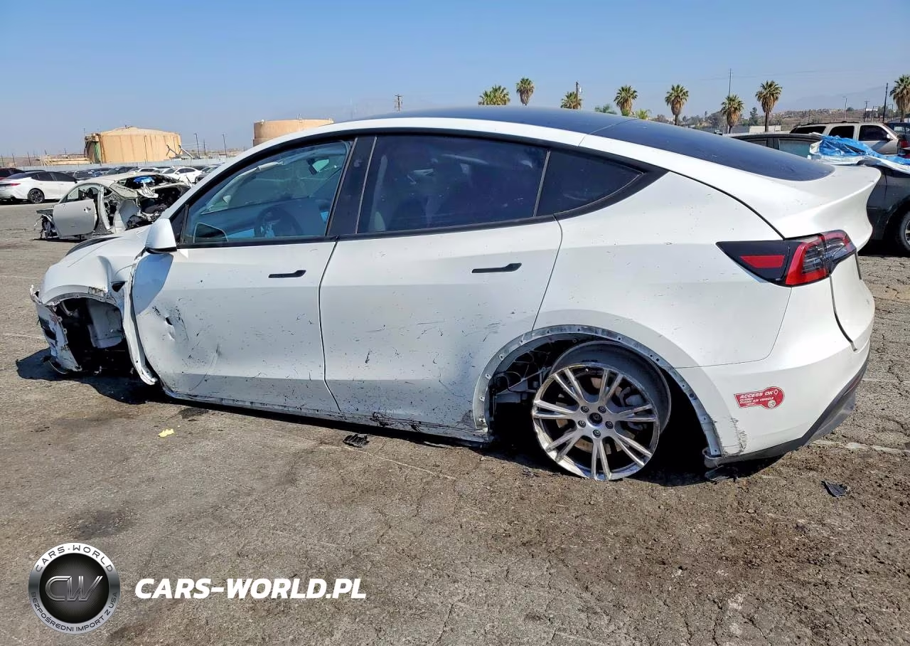 2024 Tesla Model Y VIN:7SAYGAEE4RF048305 - 2
