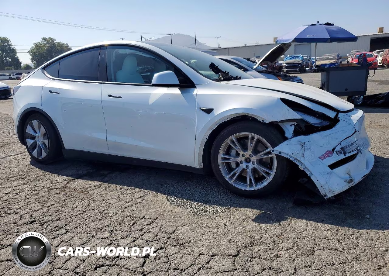 2024 Tesla Model Y VIN:7SAYGAEE4RF048305 - 4