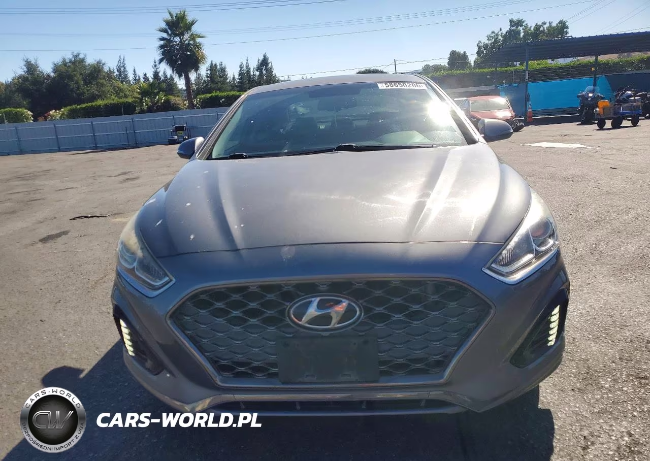 2019 Hyundai Sonata Sel VIN:5NPE34AFXKH736098 - 5