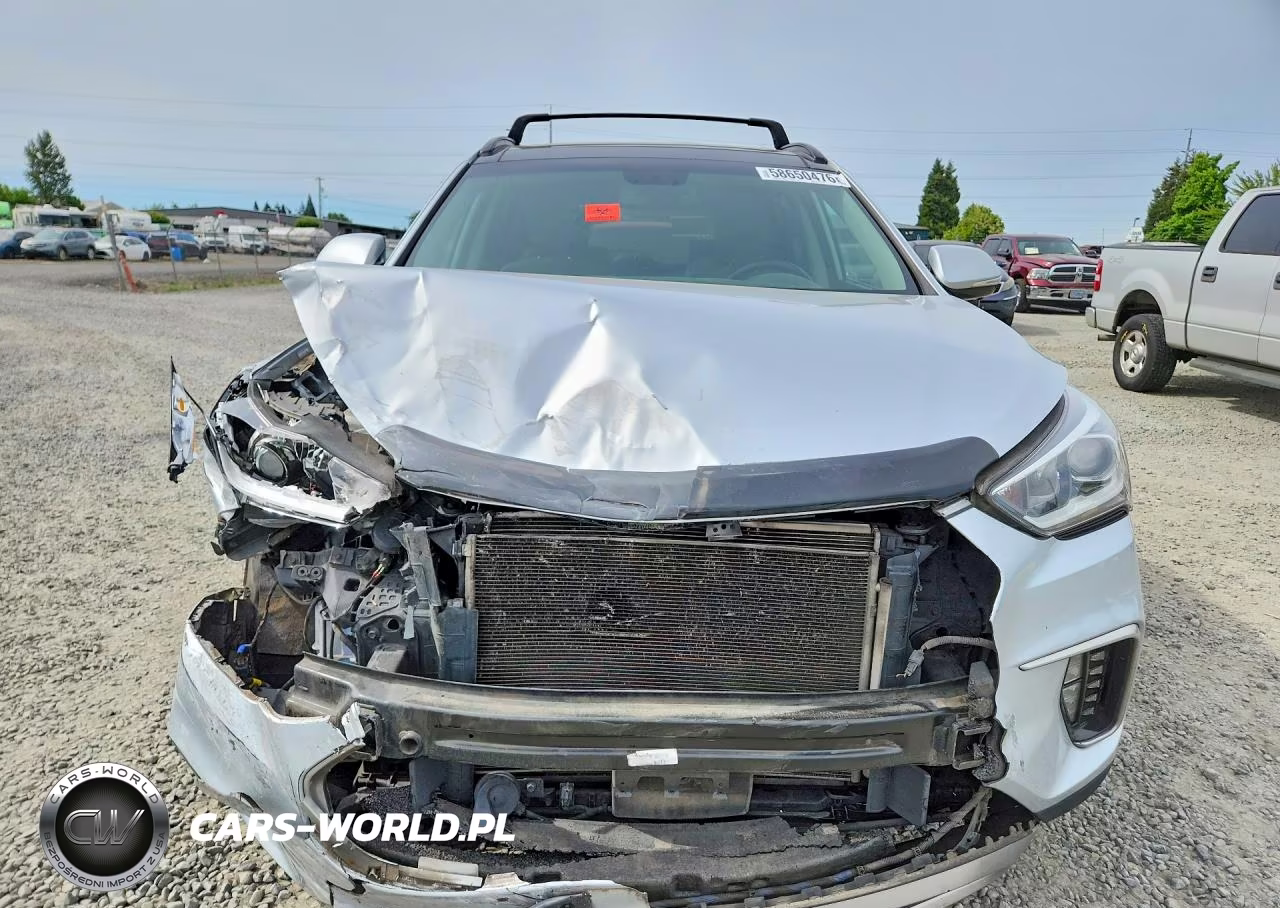 2017 Hyundai Santa Fe Limited Ultimate VIN:KM8SRDHF0HU216624 - 5