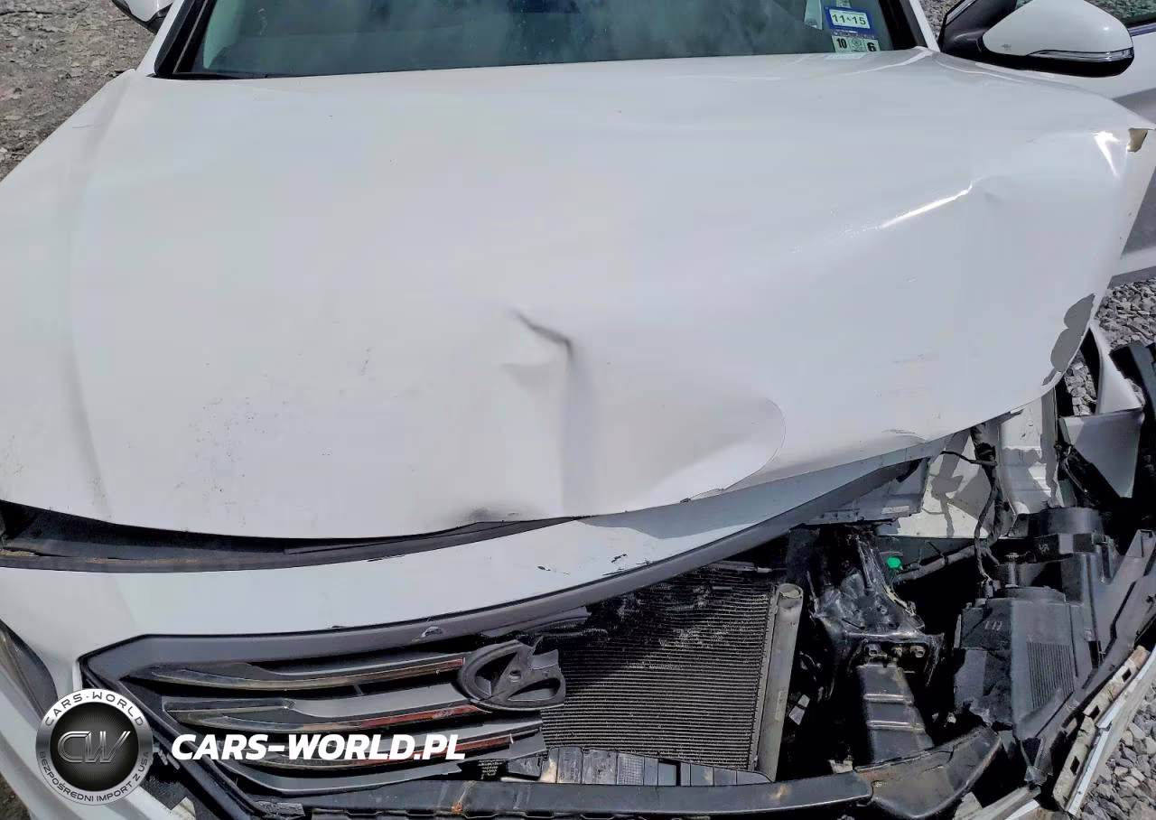 2015 Hyundai Sonata Sport VIN:5NPE34AF2FH097737 - 11