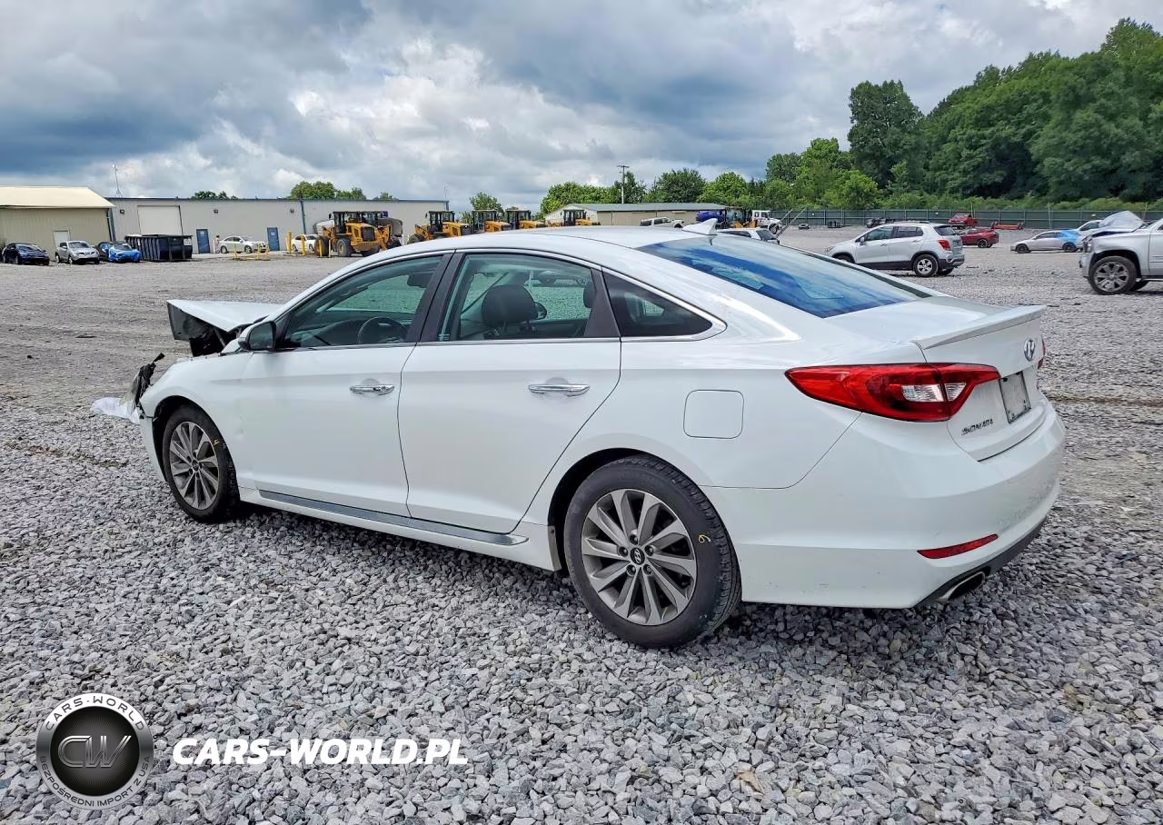 2015 Hyundai Sonata Sport VIN:5NPE34AF2FH097737 - 2