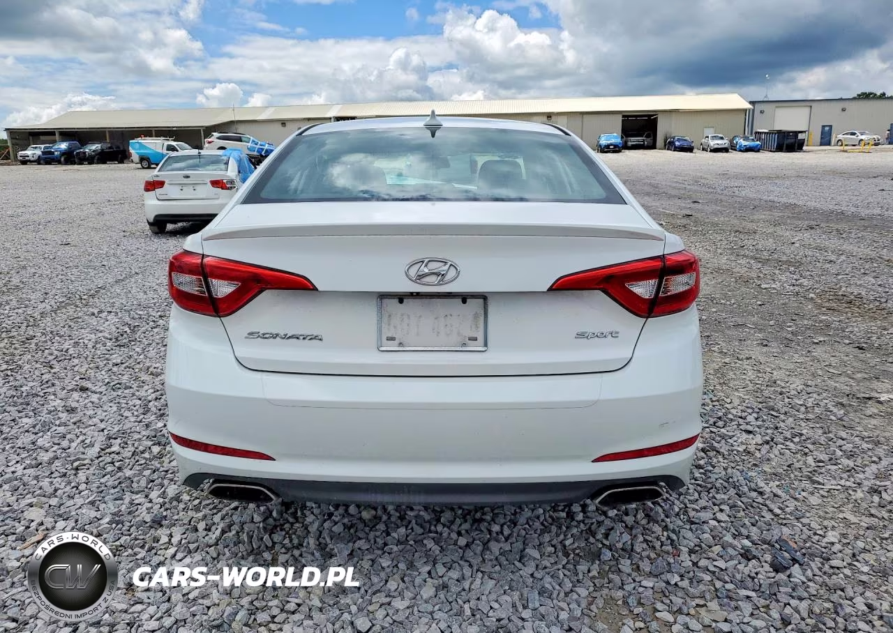 2015 Hyundai Sonata Sport VIN:5NPE34AF2FH097737 - 6