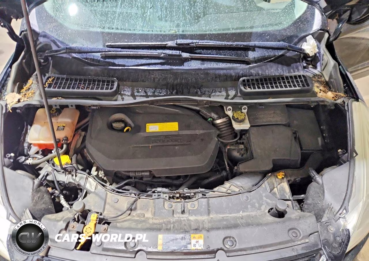 2013 Ford Escape Sel VIN:1FMCU9HX8DUB52612 - 12