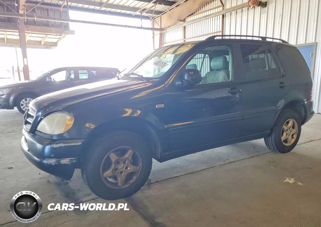2000 Merz Ml-Class