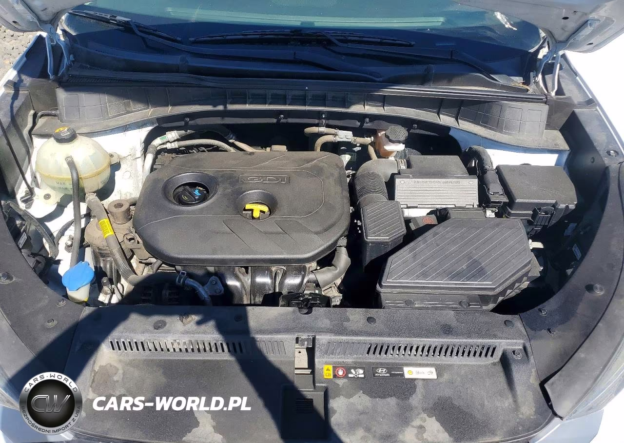 2019 Hyundai Tucson Se VIN:KM8J2CA47KU925321 - 12