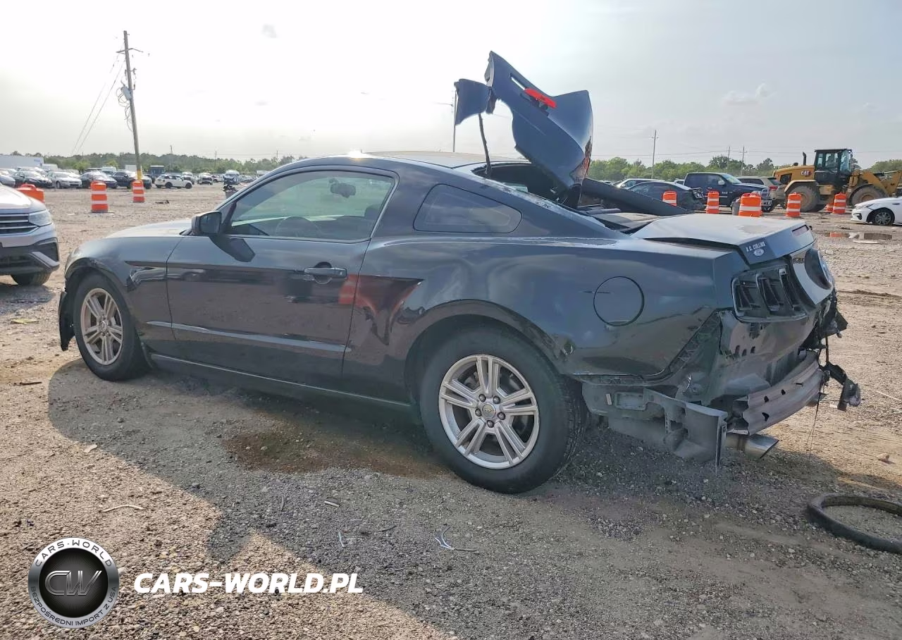 2014 Ford Mustang VIN:1ZVBP8AM0E5300911 - 2