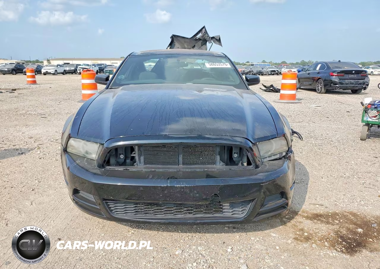 2014 Ford Mustang VIN:1ZVBP8AM0E5300911 - 5