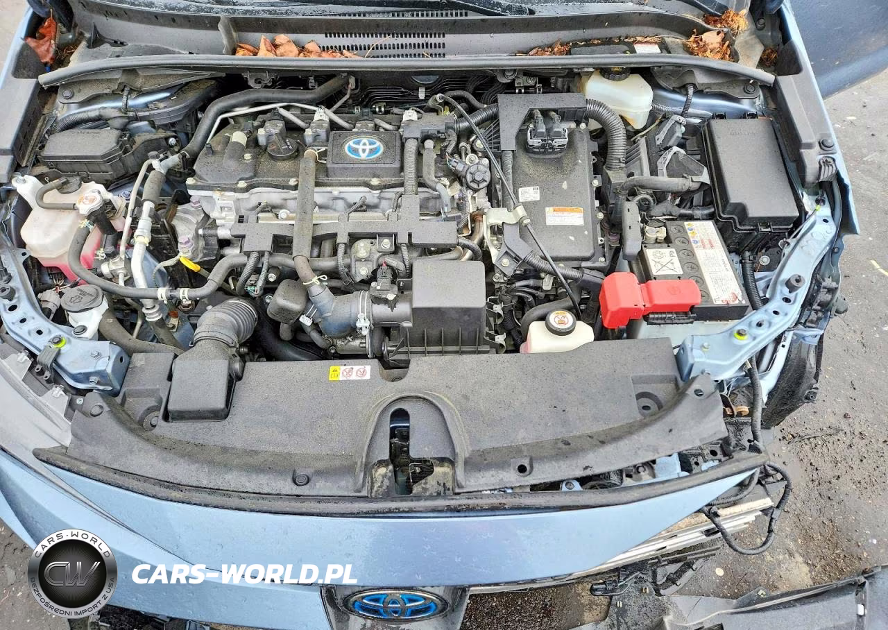 2021 Toyota Corolla Le VIN:JTDEAMDE3MJ025474 - 11