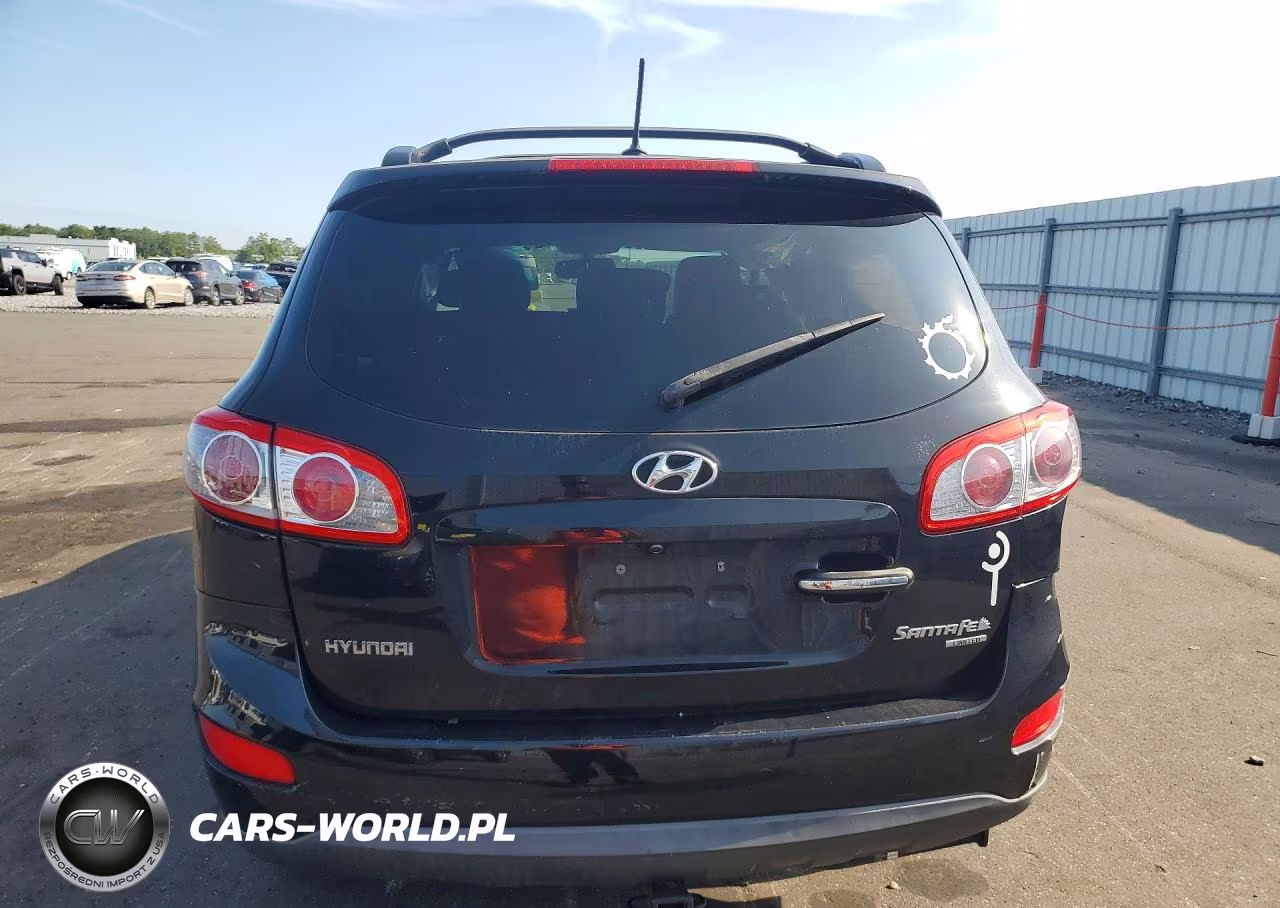 2010 Hyundai Santa Fe Limited VIN:5NMSK4AGXAH347438 - 6