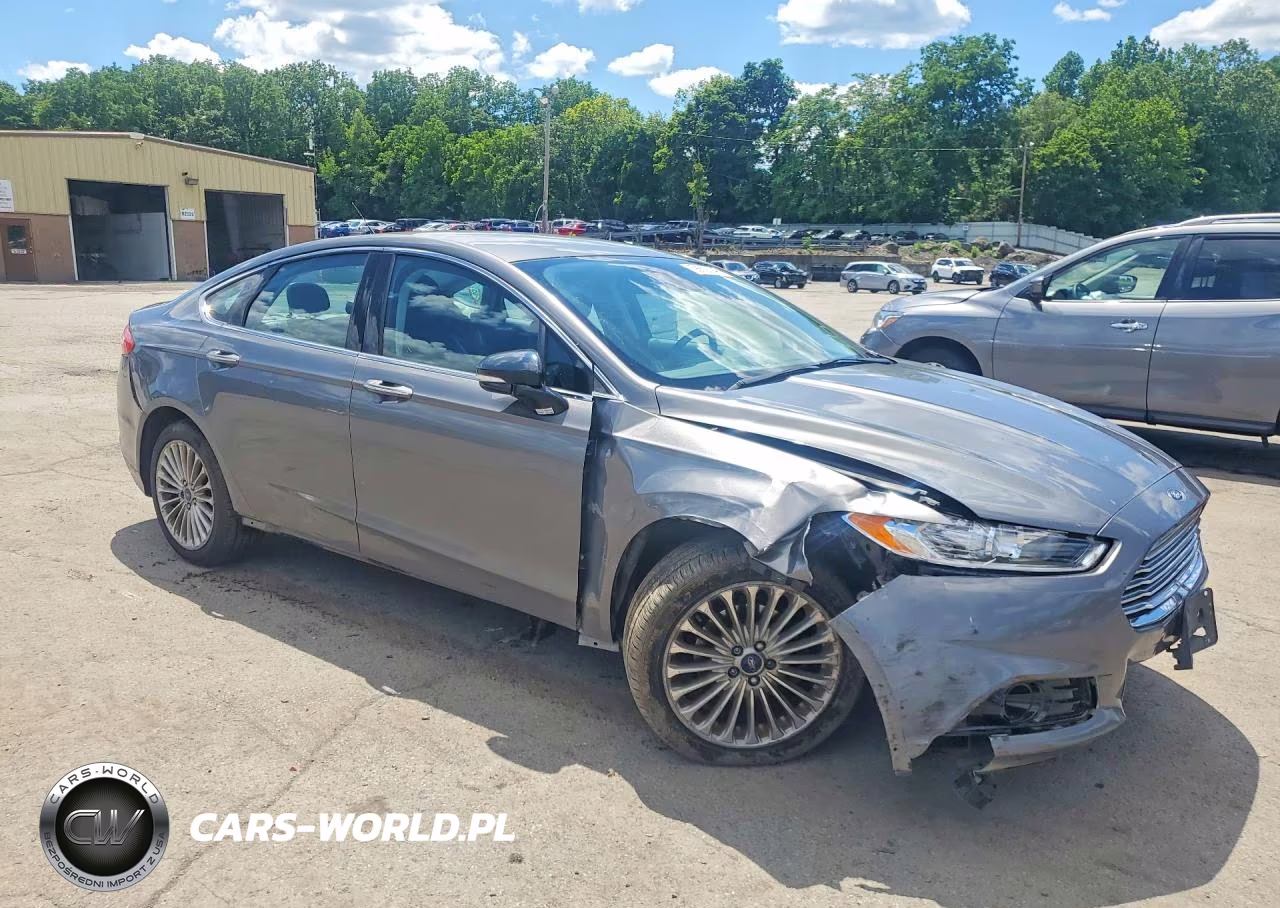 2014 Ford Fusion Titanium VIN:3FA6P0D92ER384729 - 4