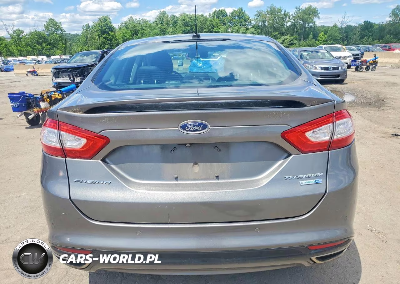 2014 Ford Fusion Titanium VIN:3FA6P0D92ER384729 - 6