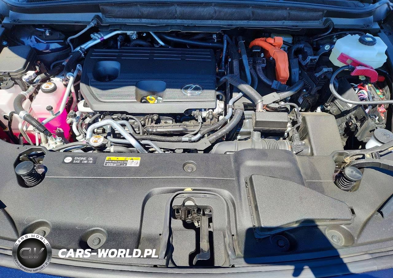 2025 Lexus Rx 450H+ Luxury VIN:JTJCJMGA6S2028308 - 12