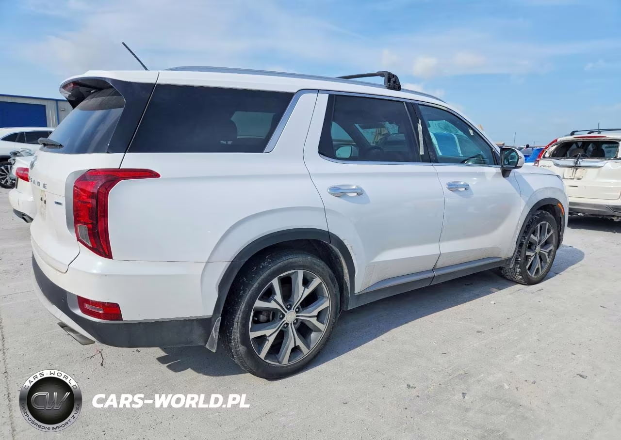 2020 Hyundai Palisade Sel VIN:KM8R3DHE6LU152654 - 3