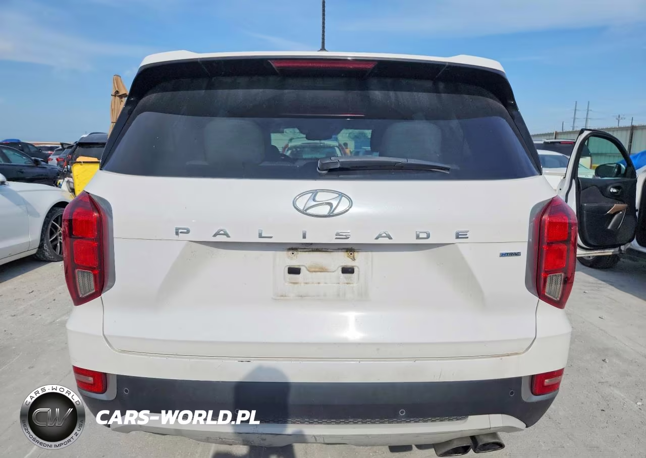 2020 Hyundai Palisade Sel VIN:KM8R3DHE6LU152654 - 6