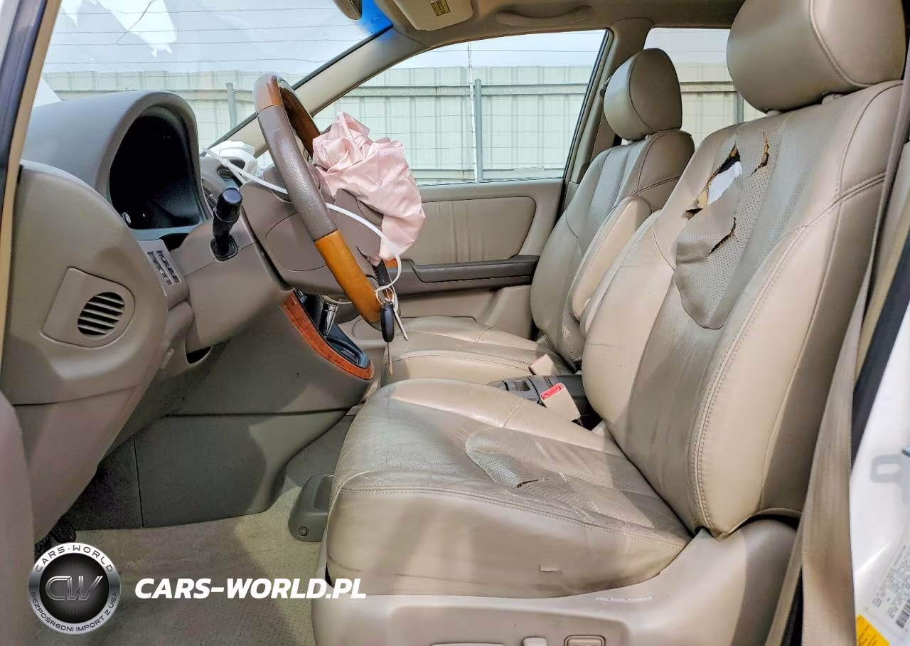 2002 Lexs Rx300 VIN:JTJHF10U020273451 - 7