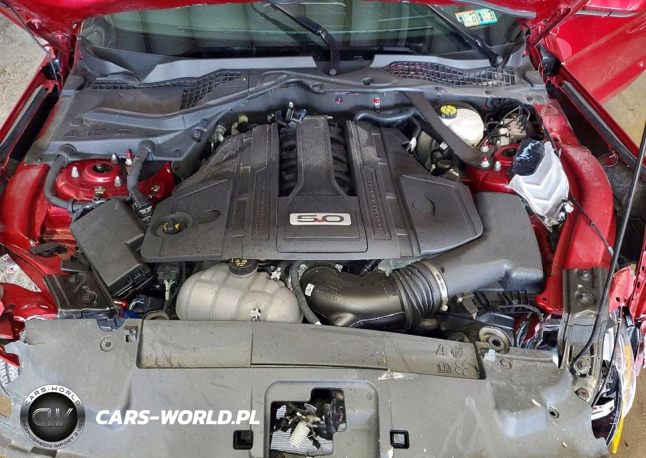 2021 Ford Mustang Gt VIN:1FA6P8CF1M5156020 - 11