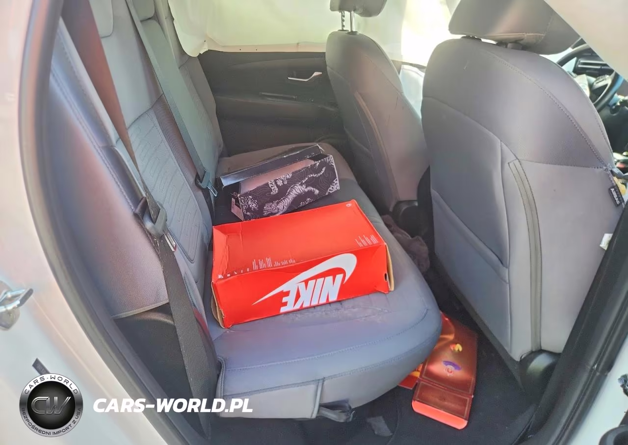 2023 Hyundai Santa Cruz Sel Premium VIN:5NTJDDAF5PH059594 - 10