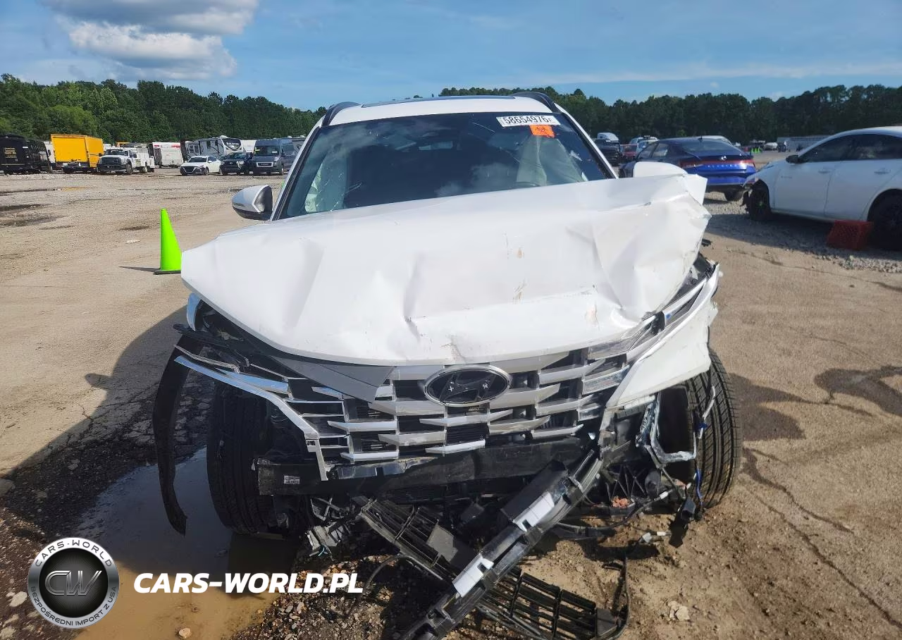 2023 Hyundai Santa Cruz Sel Premium VIN:5NTJDDAF5PH059594 - 5