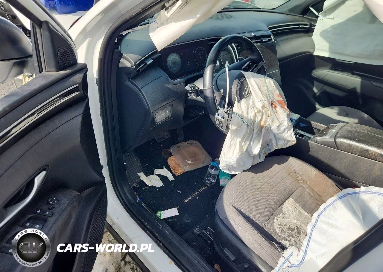 2023 Hyundai Santa Cruz Sel Premium VIN:5NTJDDAF5PH059594 - 8