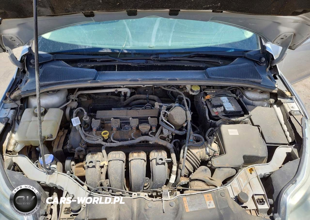 2014 Ford Focus Se VIN:1FADP3K2XEL313596 - 11