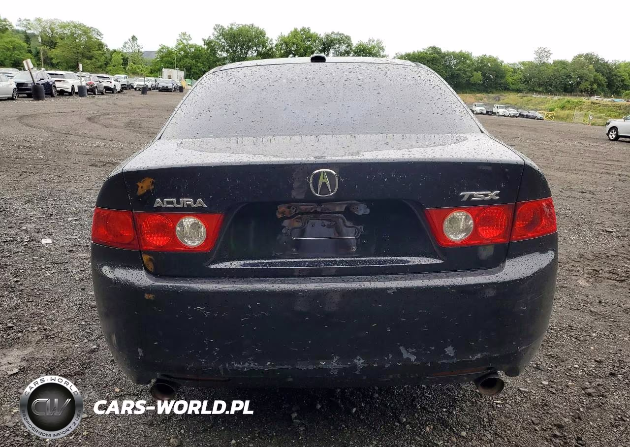 2005 Acura Tsx VIN:JH4CL96805C019948 - 6
