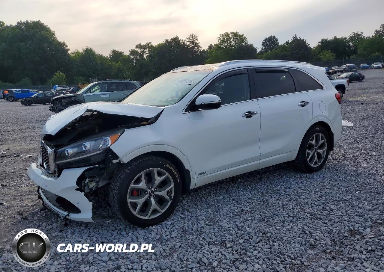 2019 Kia Sorento Sx V6 VIN:5XYPKDA52KG448991 - 1