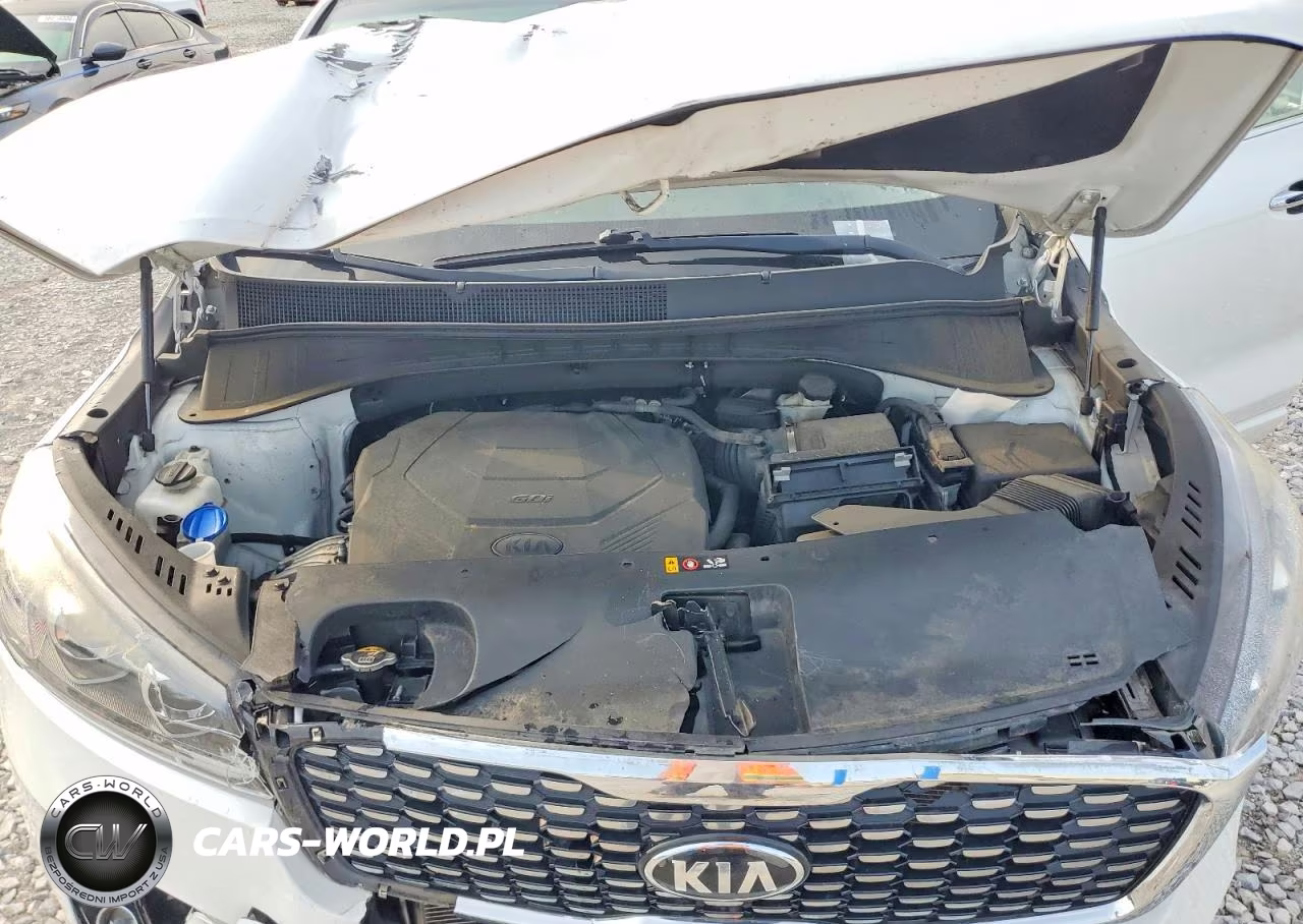 2019 Kia Sorento Sx V6 VIN:5XYPKDA52KG448991 - 12